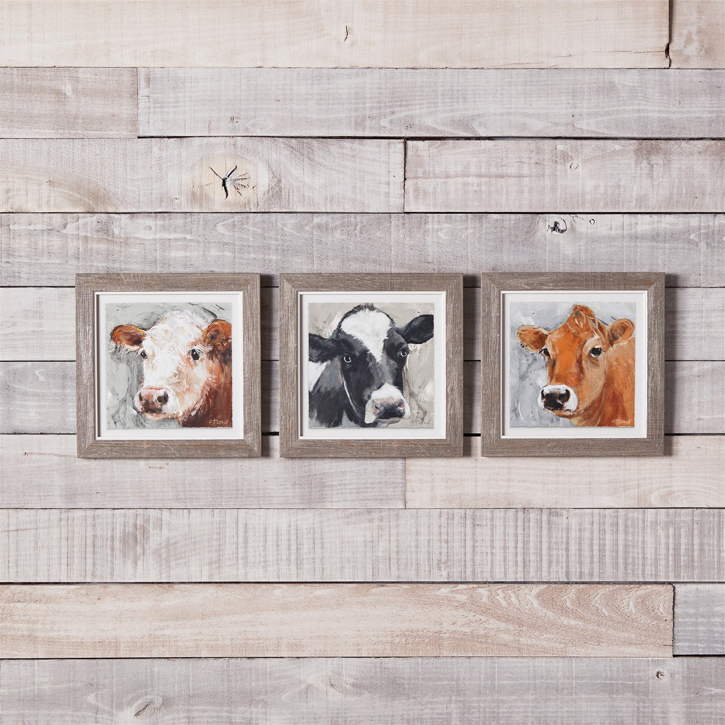 Wood Framed Cow Print Under Glass (Set of 3)