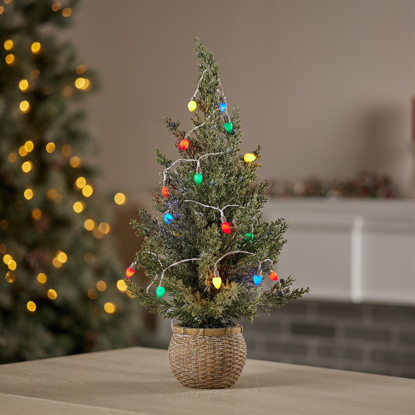 LED Lighted Strand with Classic Bulb Design (Set of 6 Strands)
