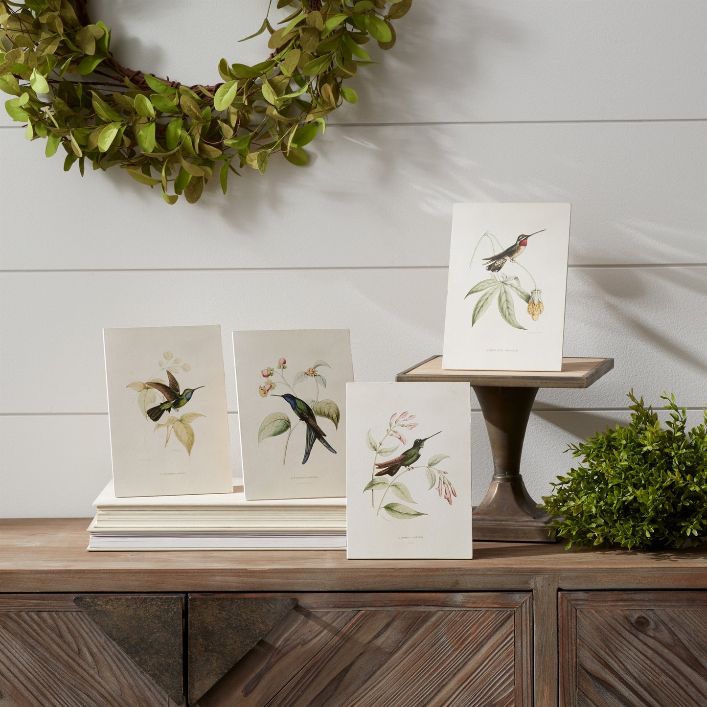 Tabletop Encyclopedia Hummingbird Print (Set of 4)