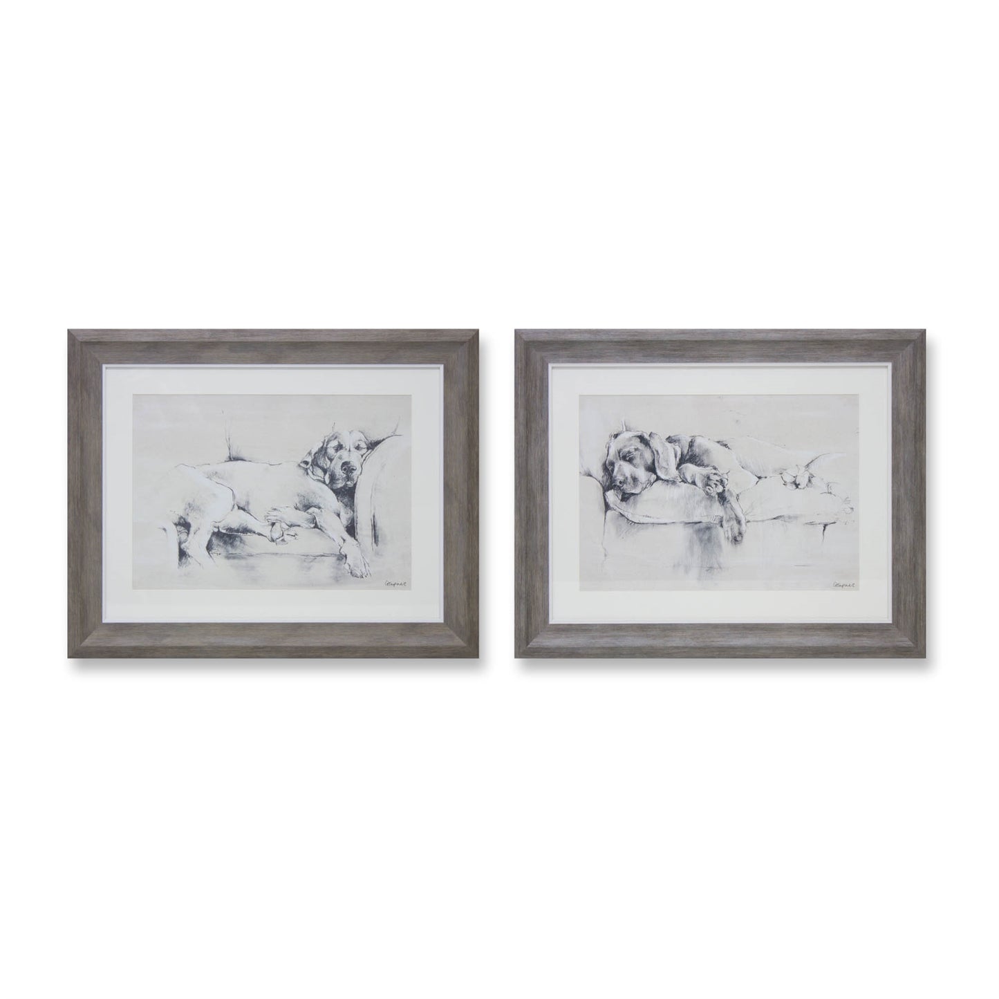Framed Dog Print (Set of 2)