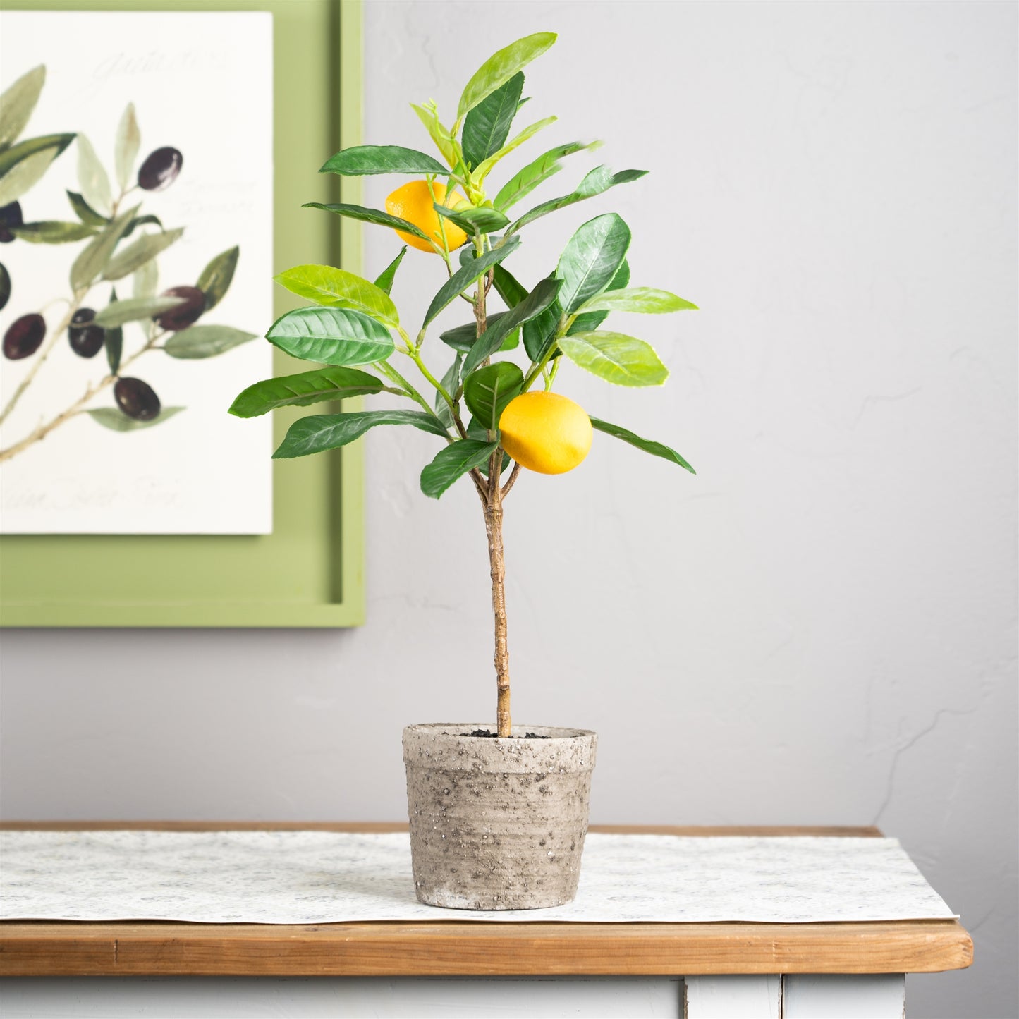 Lemon Fruit Silk Tree with Pot (Set of 2)