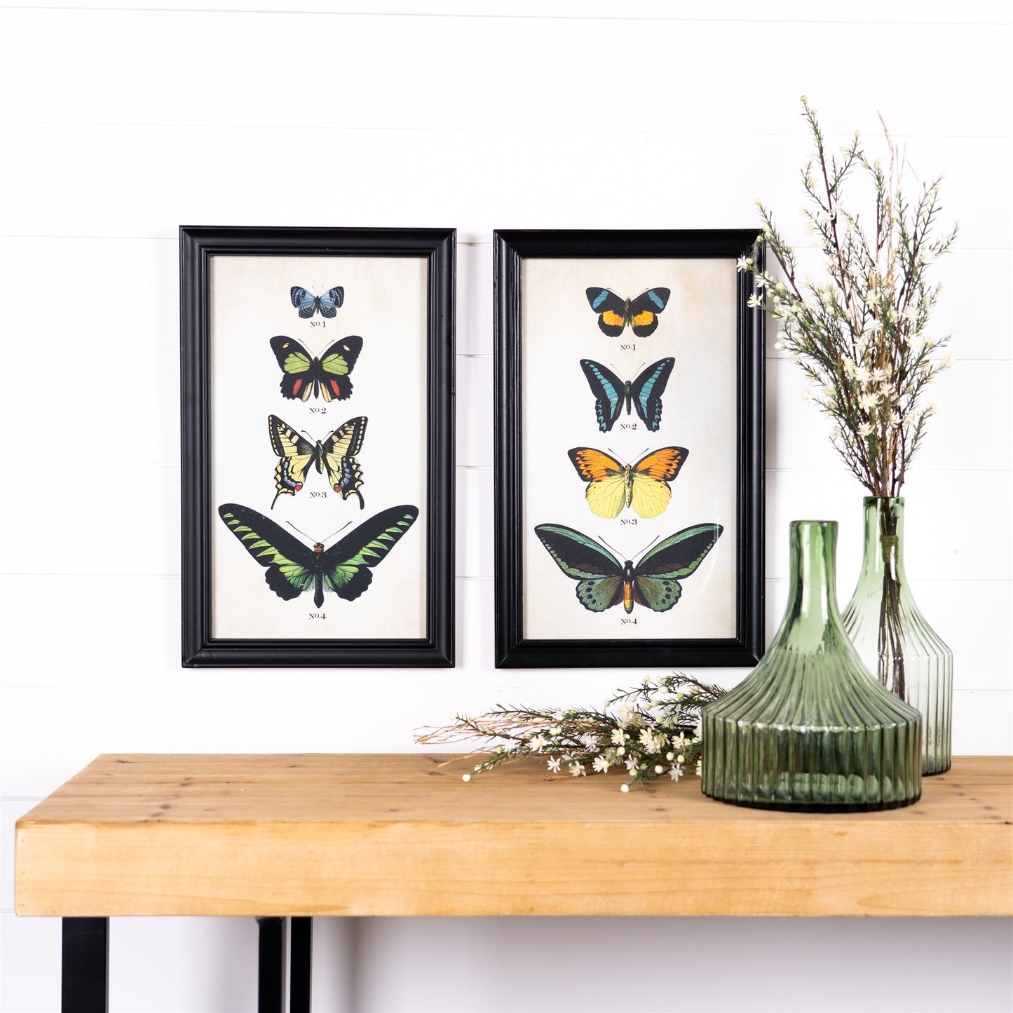 Framed Encyclopedia Butterfly Print Under Glass (Set of 2)