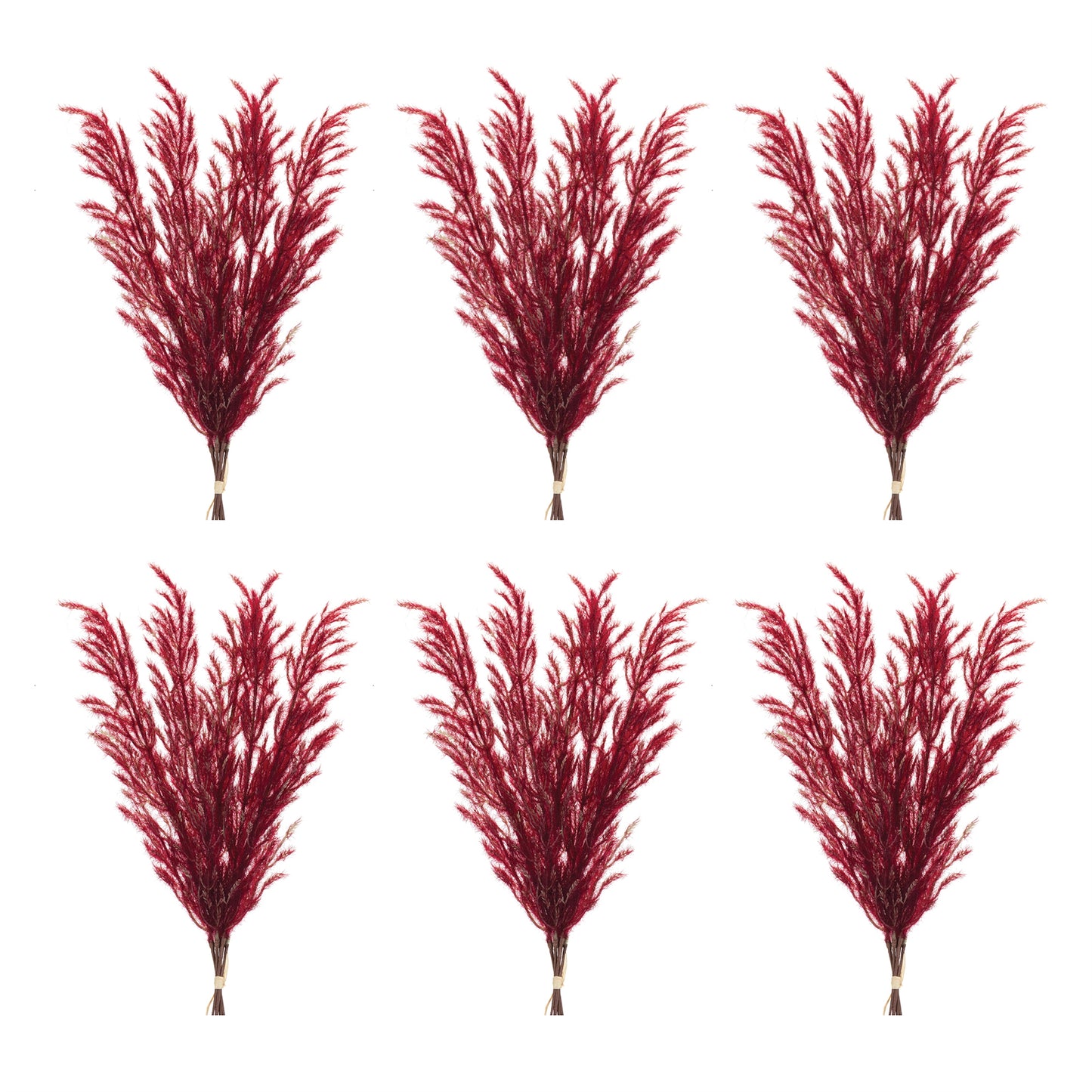 Burgandy Plume Bundle (Set of 6)