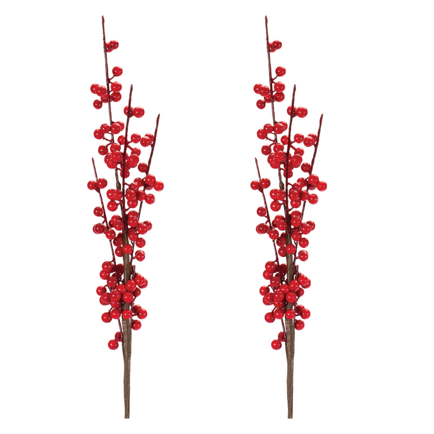 Ilex Berry Stem (Set of 6)