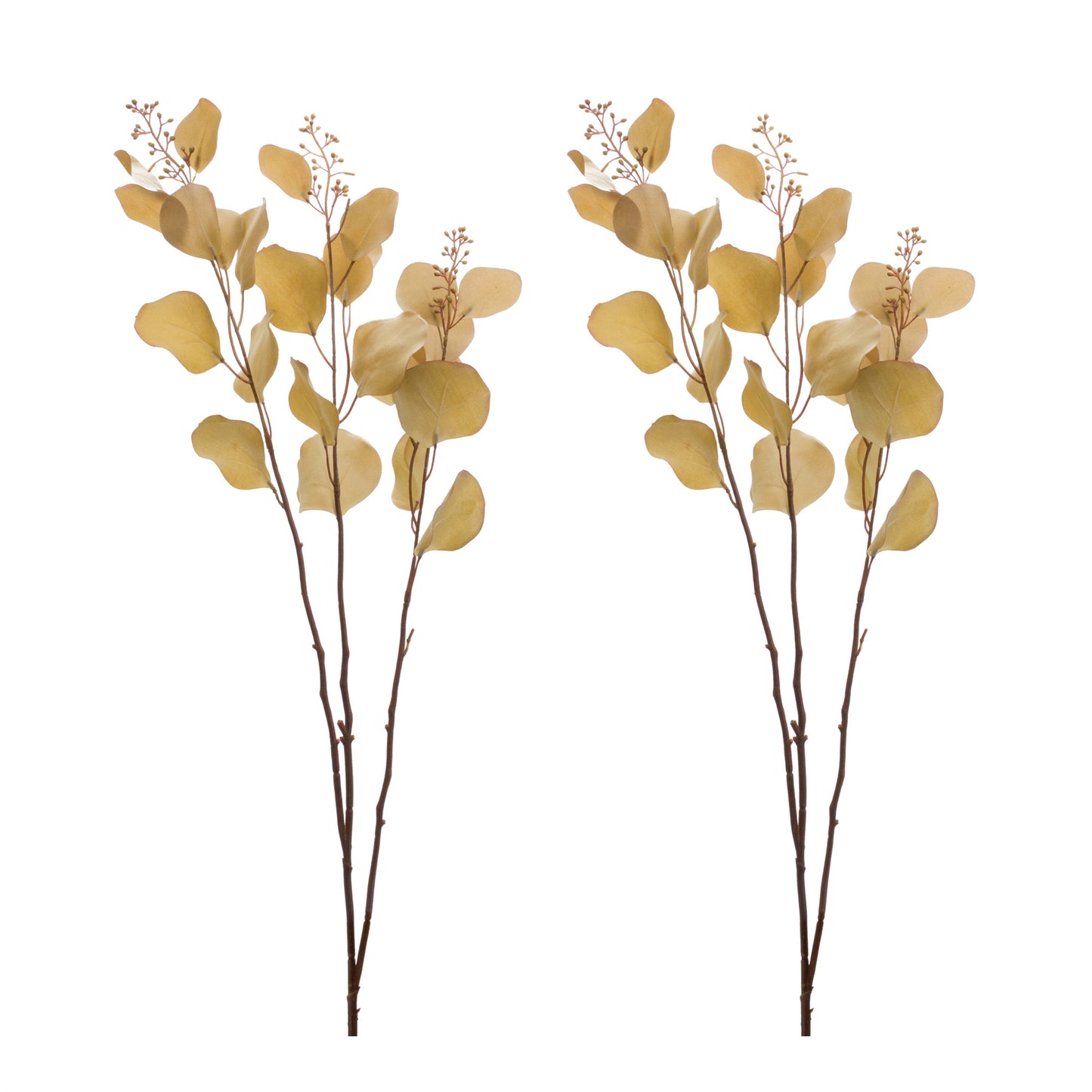 Seeded Eucalyptus Stem (Set of 2)