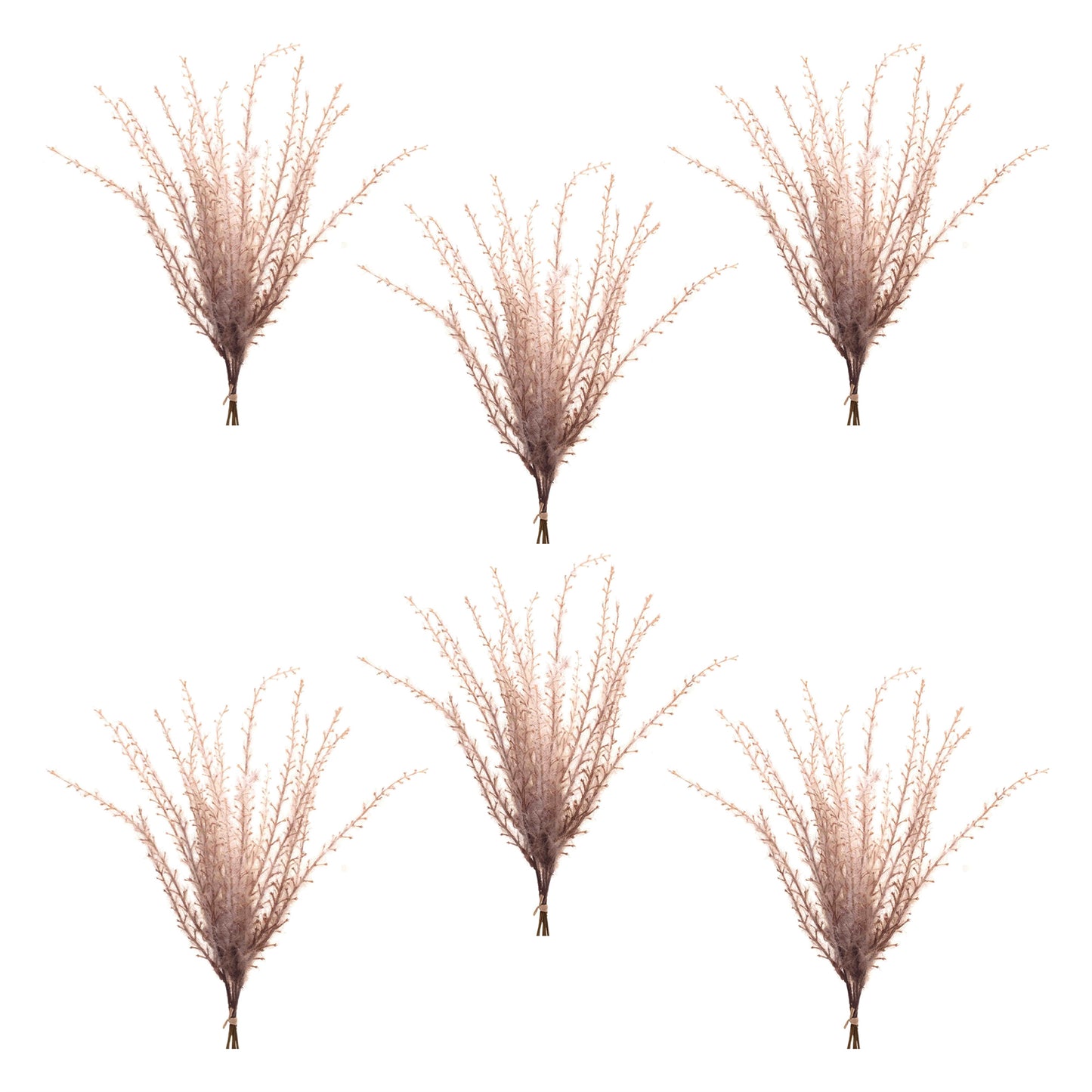 Grass Plume Bundle (Set of 6)