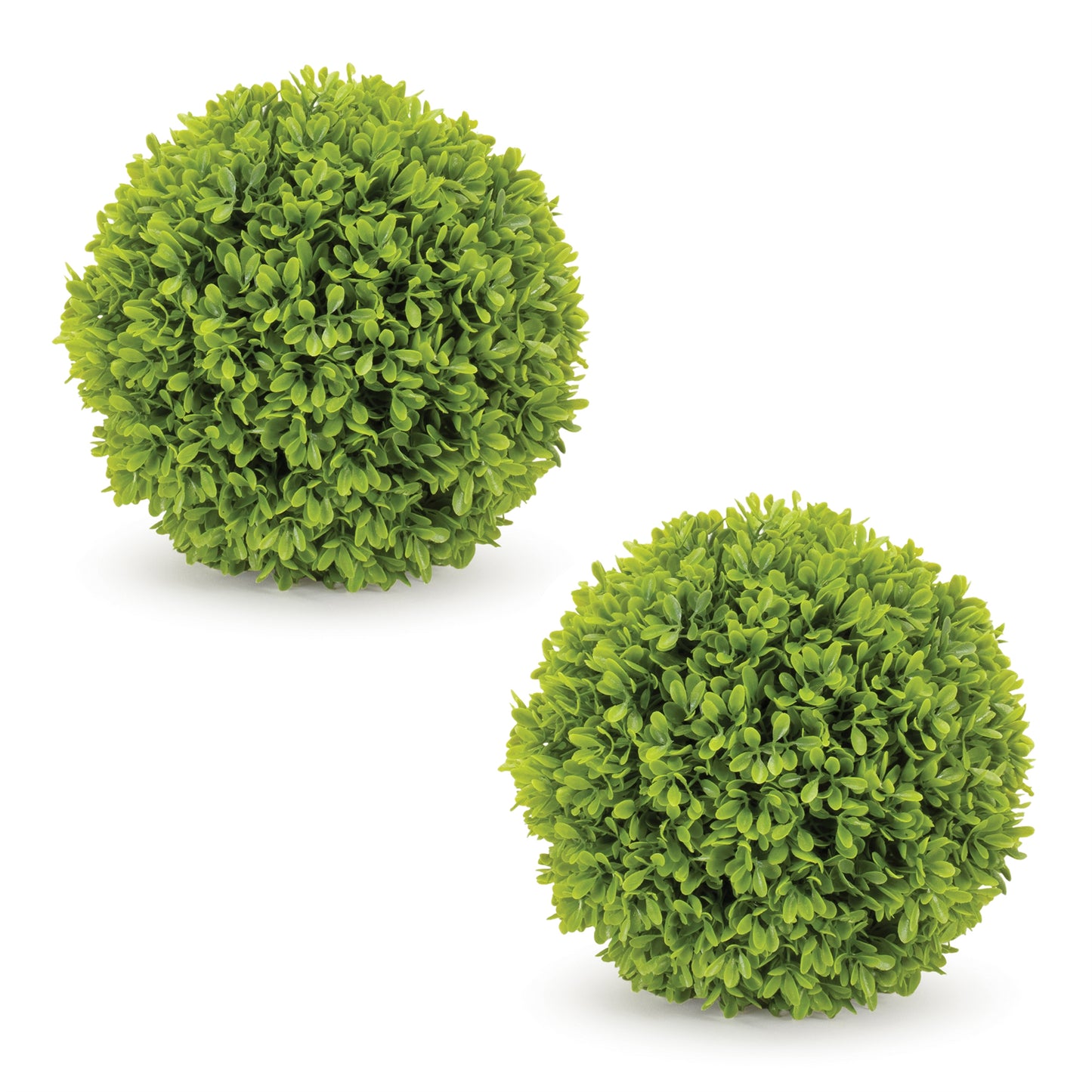 Boxwood Foliage Orb (Set of 2)