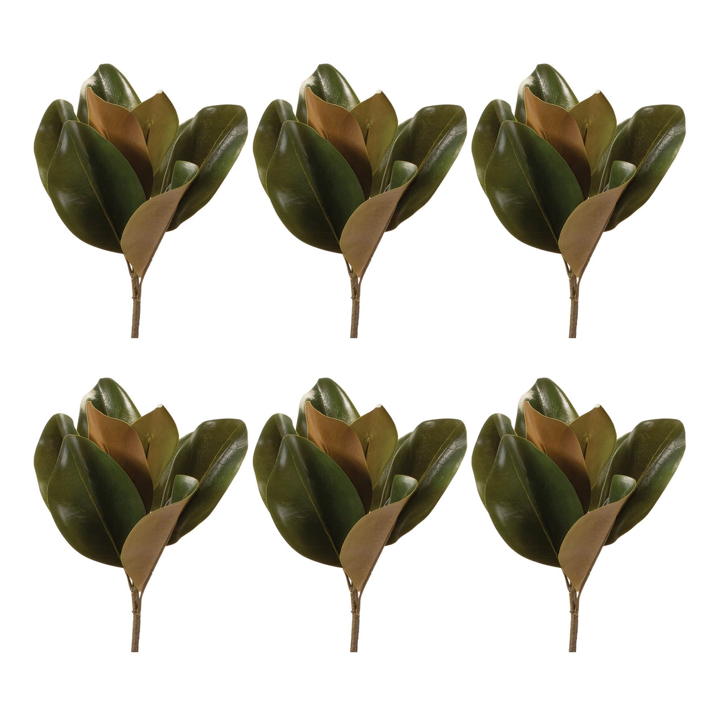 Magnolia Leaf Spray (Set of 6)