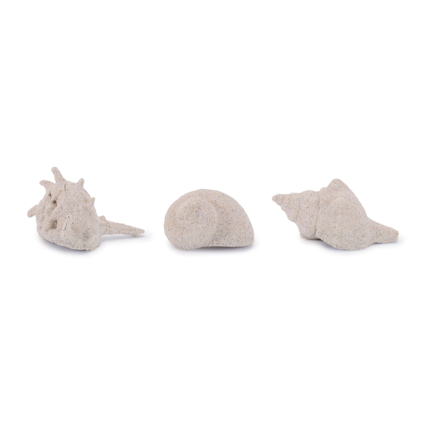 Sea Shell Filler Decor (Set of 12)
