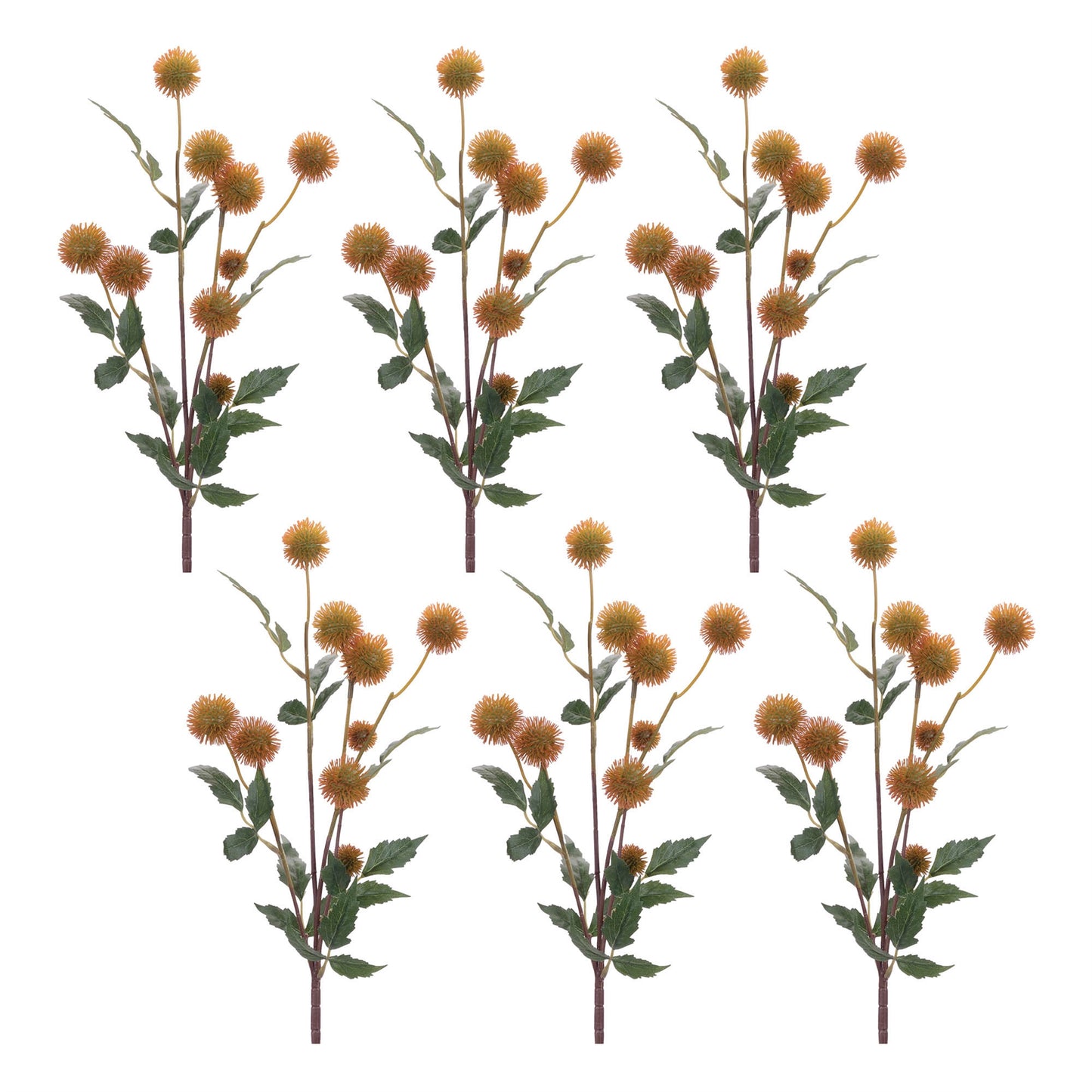 Thistle Pod Branch (Set of 6)