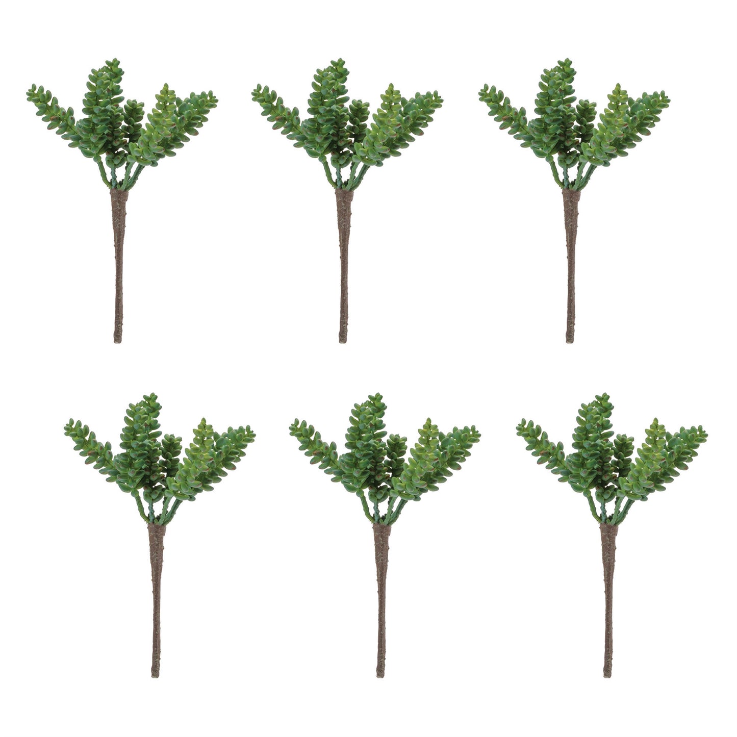 Succulent Plant Pick (Set of 6)