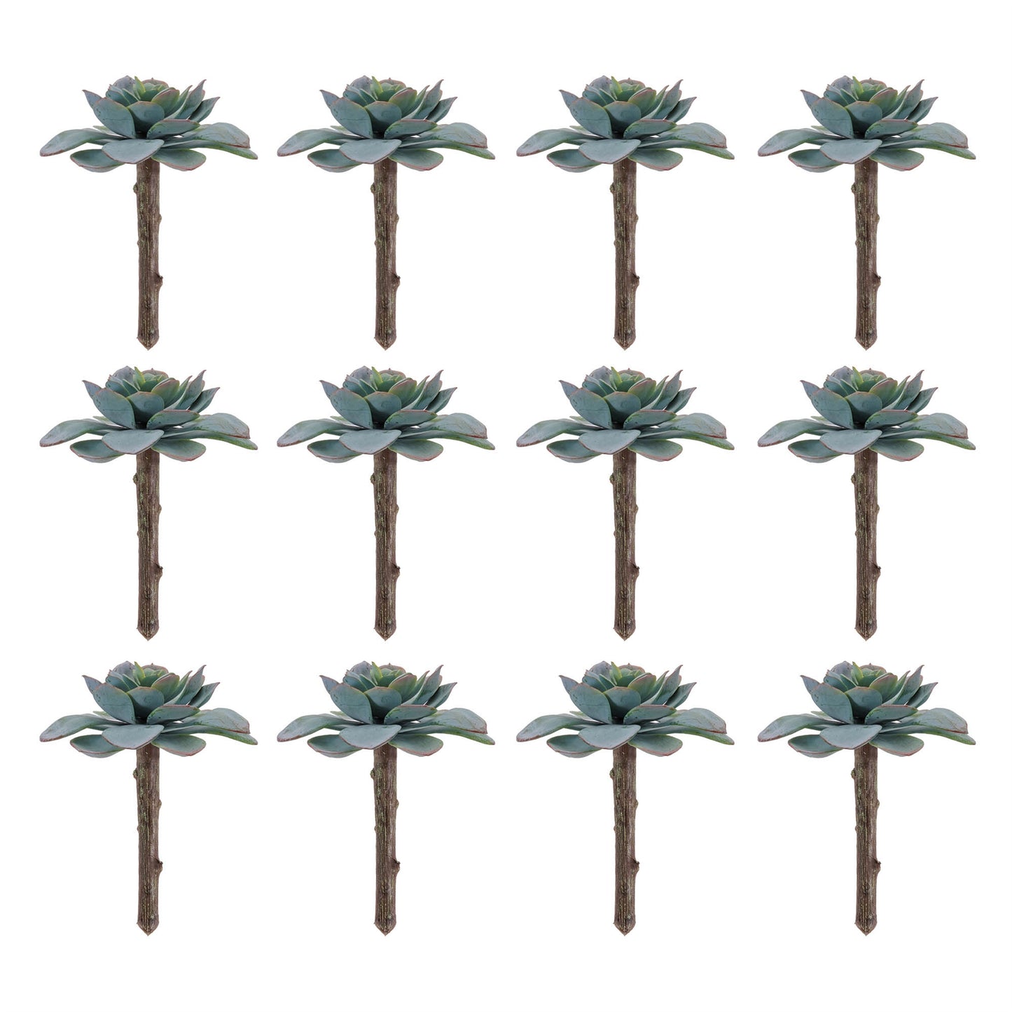 Succulent Plant Pick (Set of 12)