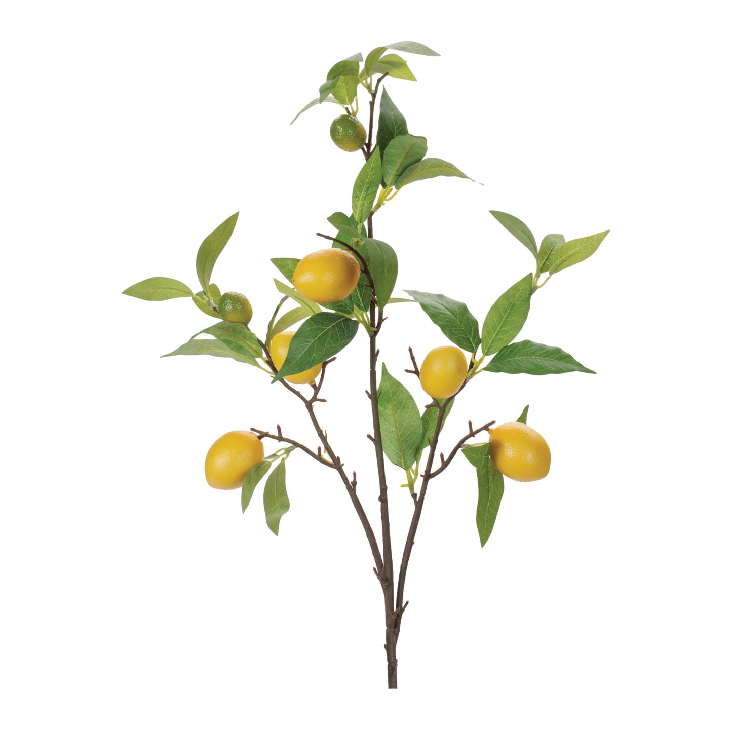 Lemon Fruit Foliage Branch (Set of 6)