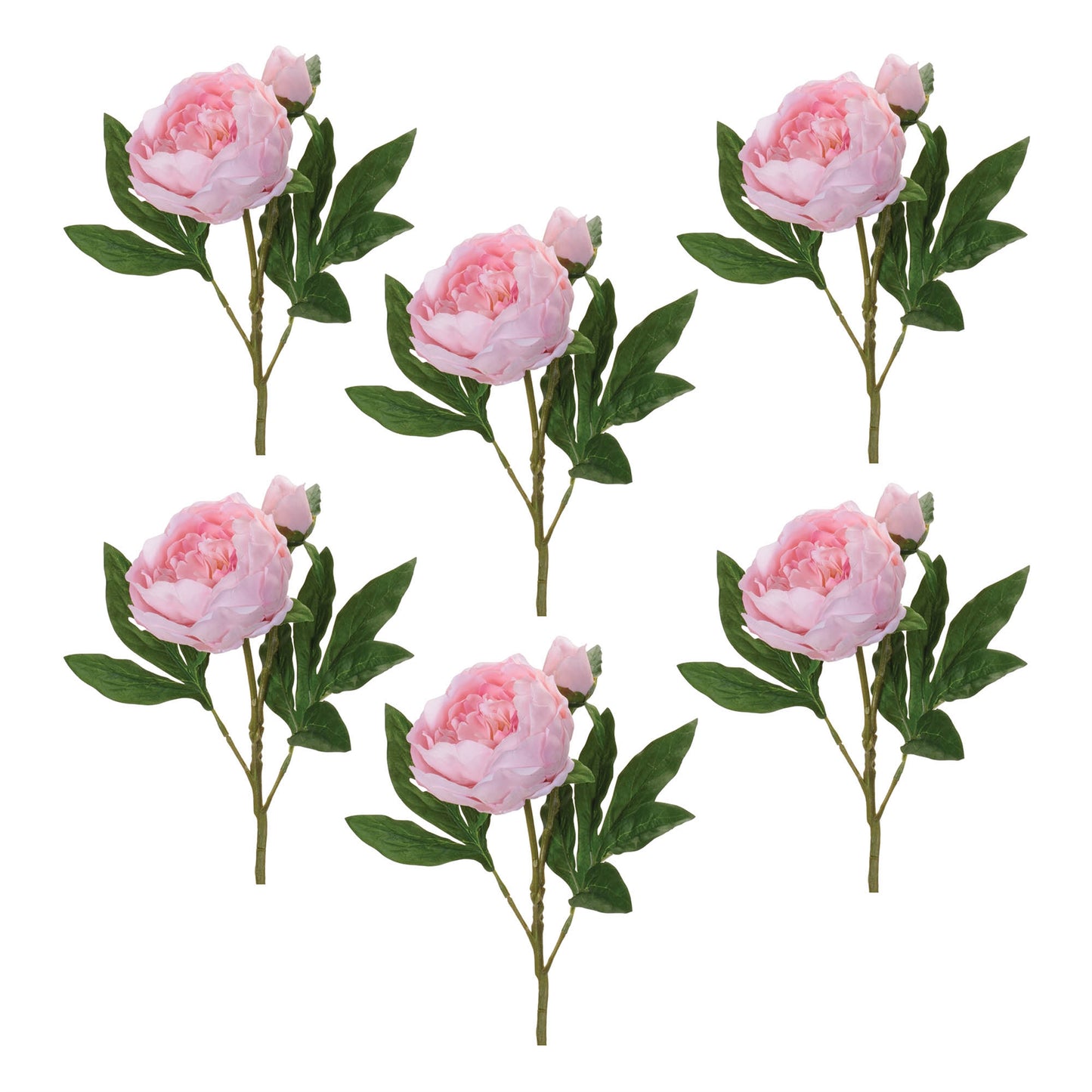Peony Floral Spray (Set of 6)