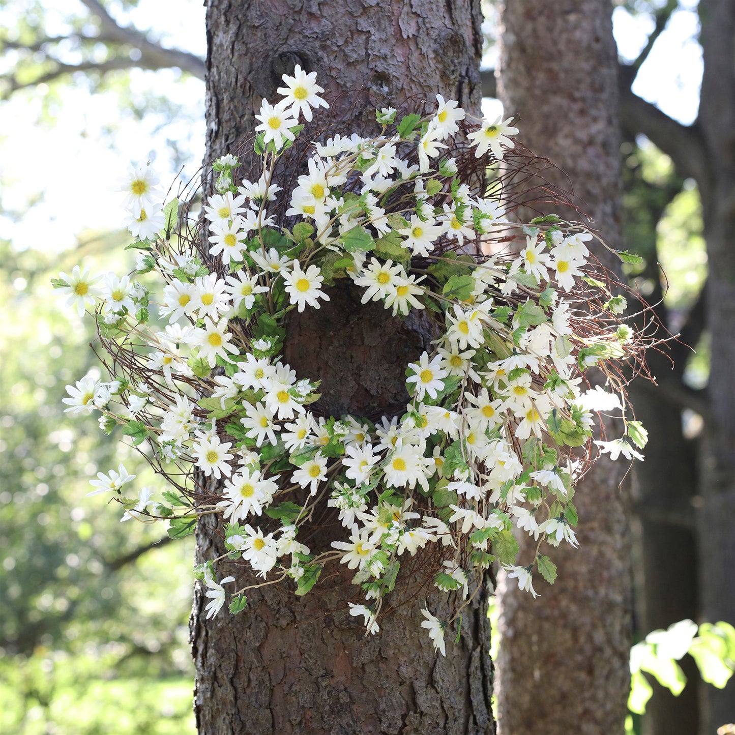 White Daisy Floral Wreath 23"D