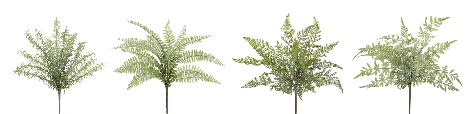 Assorted Fern Foliage Bush (Set of 12)