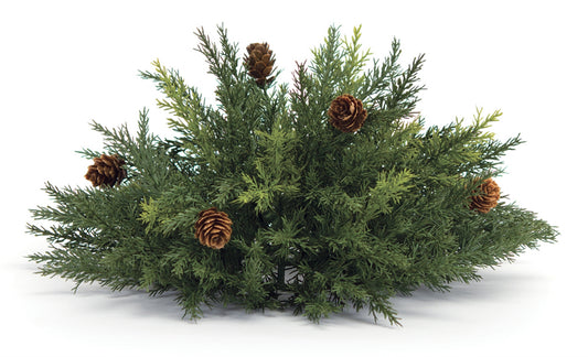 Arborvitae Half Orb 13"D