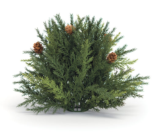 Arborvitae Half Orb 8.5"D