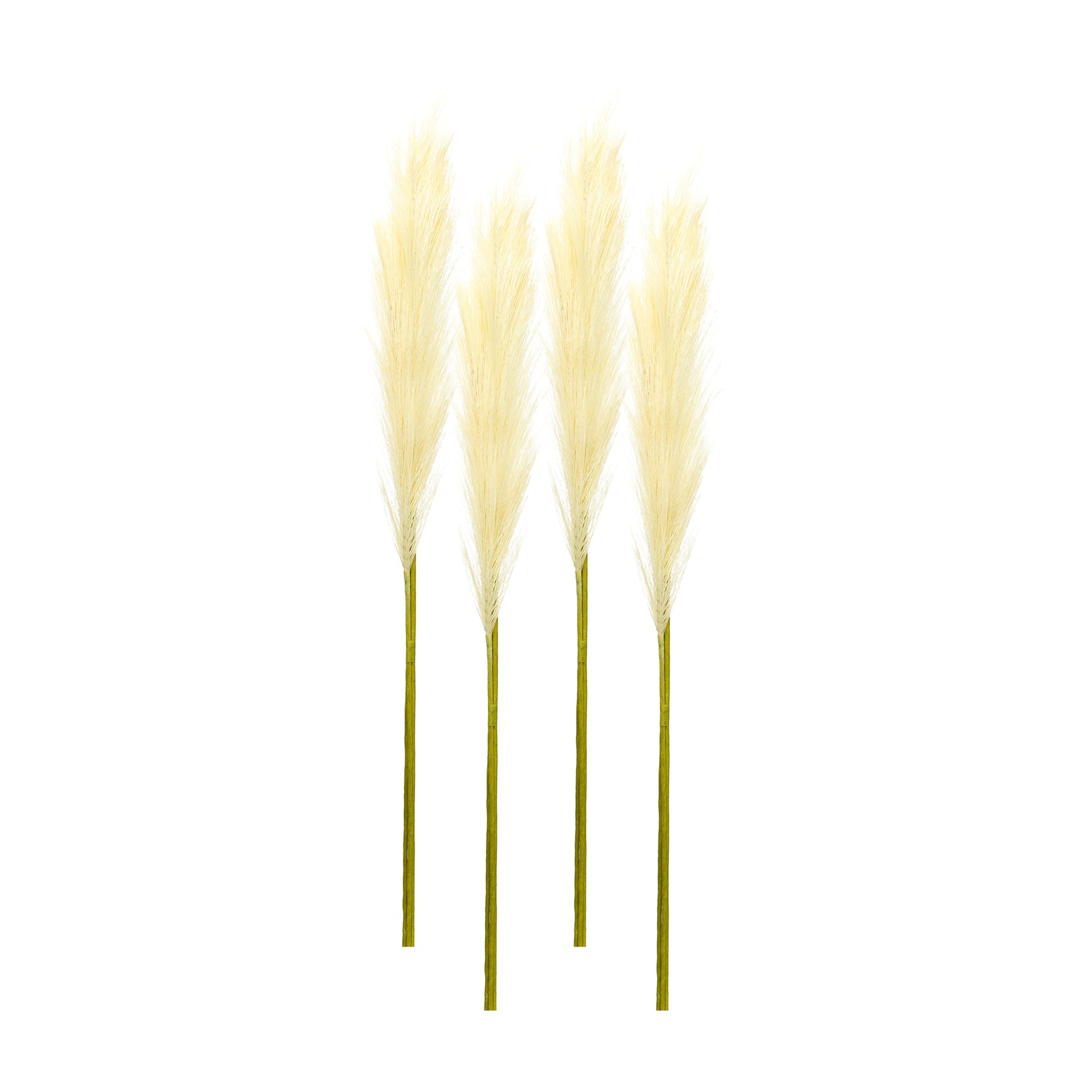 Cream Pampas Gass Stem (Set of 4)