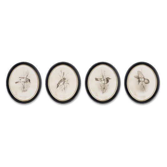 Framed Bird Print (Set of 4)