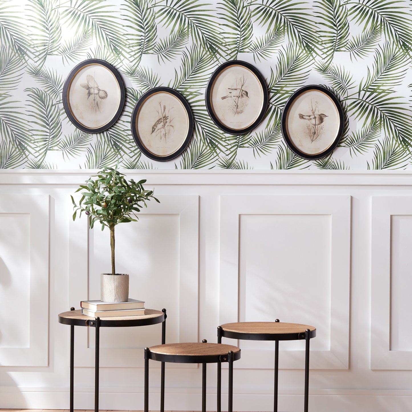 Framed Bird Print (Set of 4)