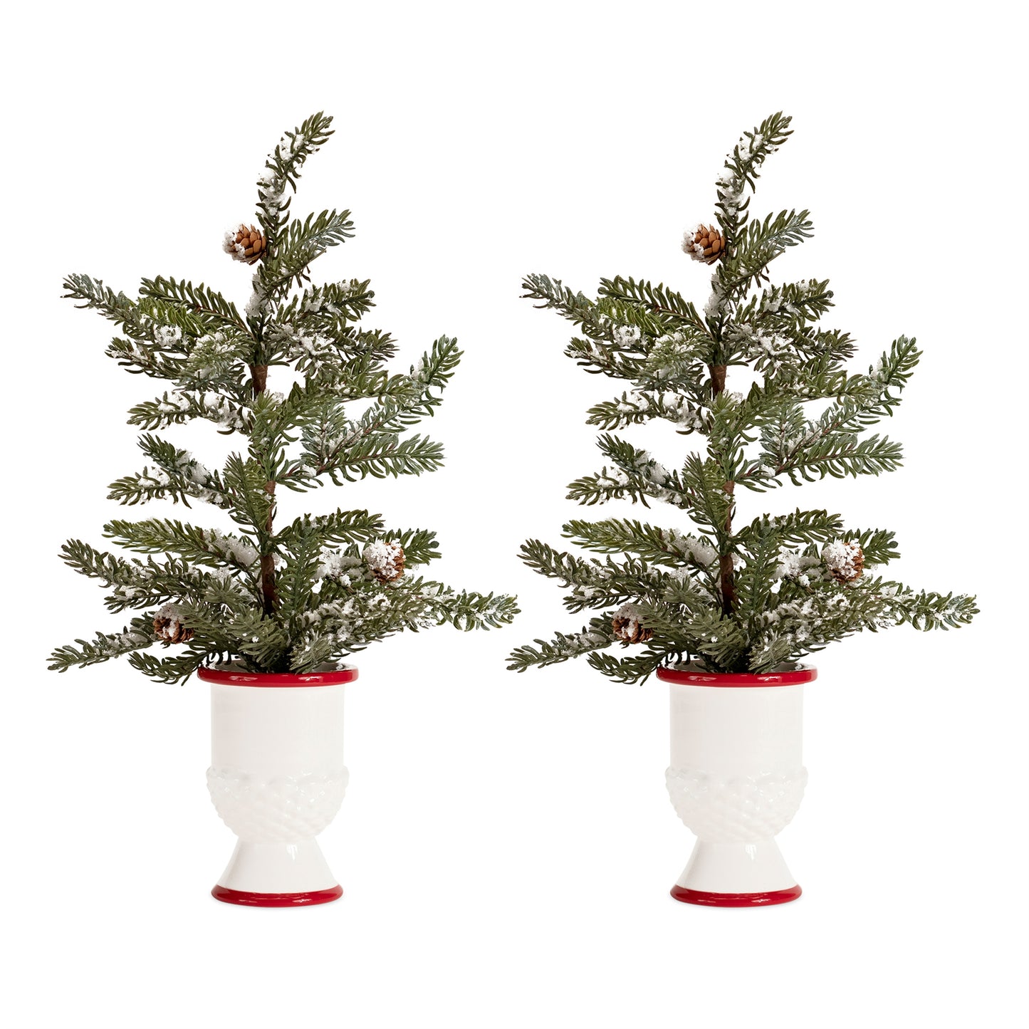 Mini Pine Tree with Ceramic Pot (Set of 2)