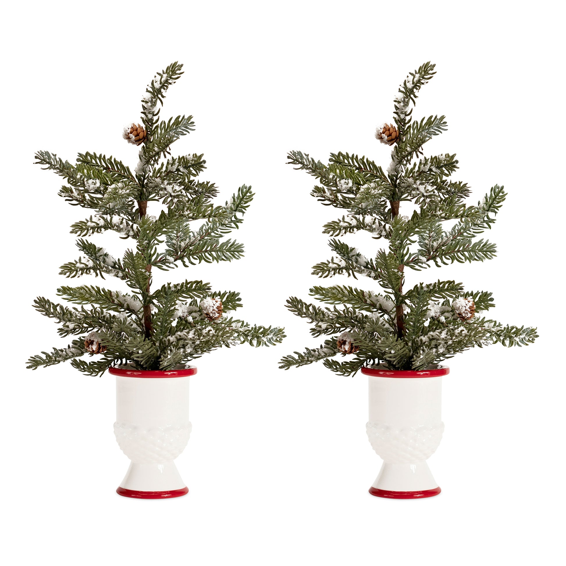 Mini Pine Tree with Ceramic Pot (Set of 2)