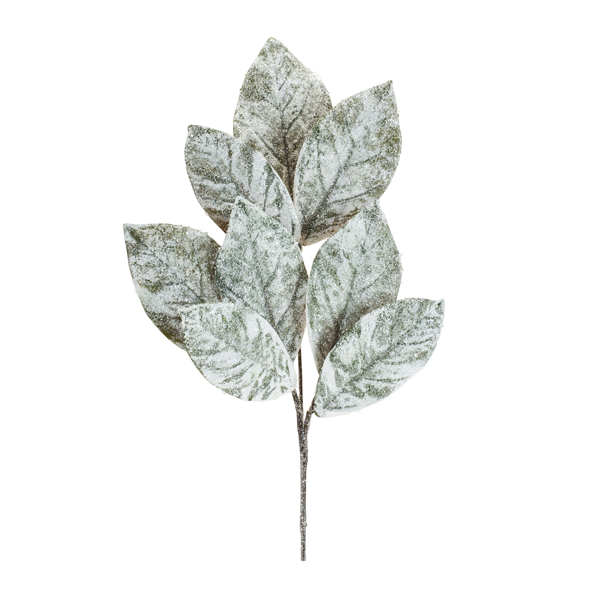 Frosted Winter Magnolia Leaf Spray (Set of 6)