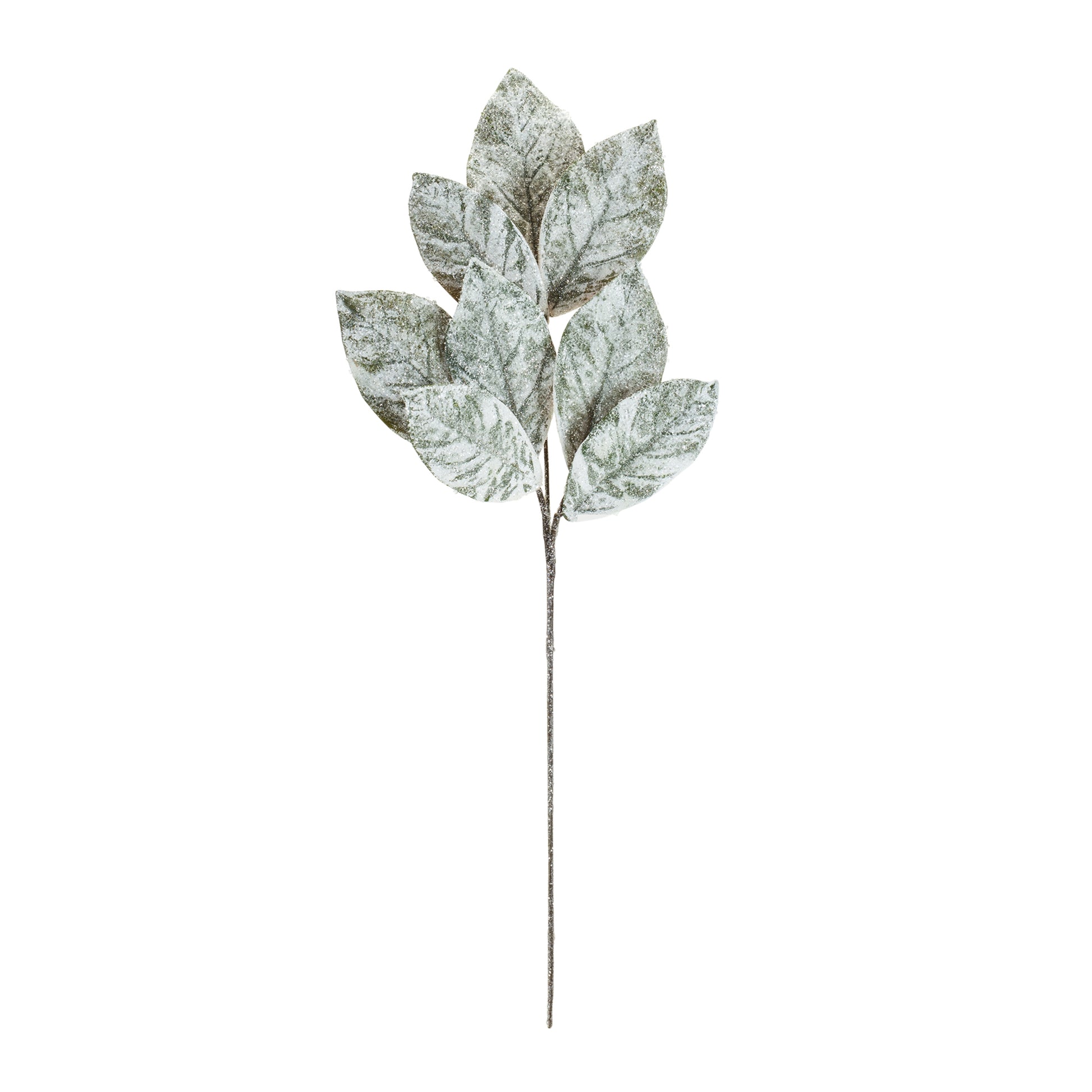 Frosted Winter Magnolia Leaf Spray (Set of 6)