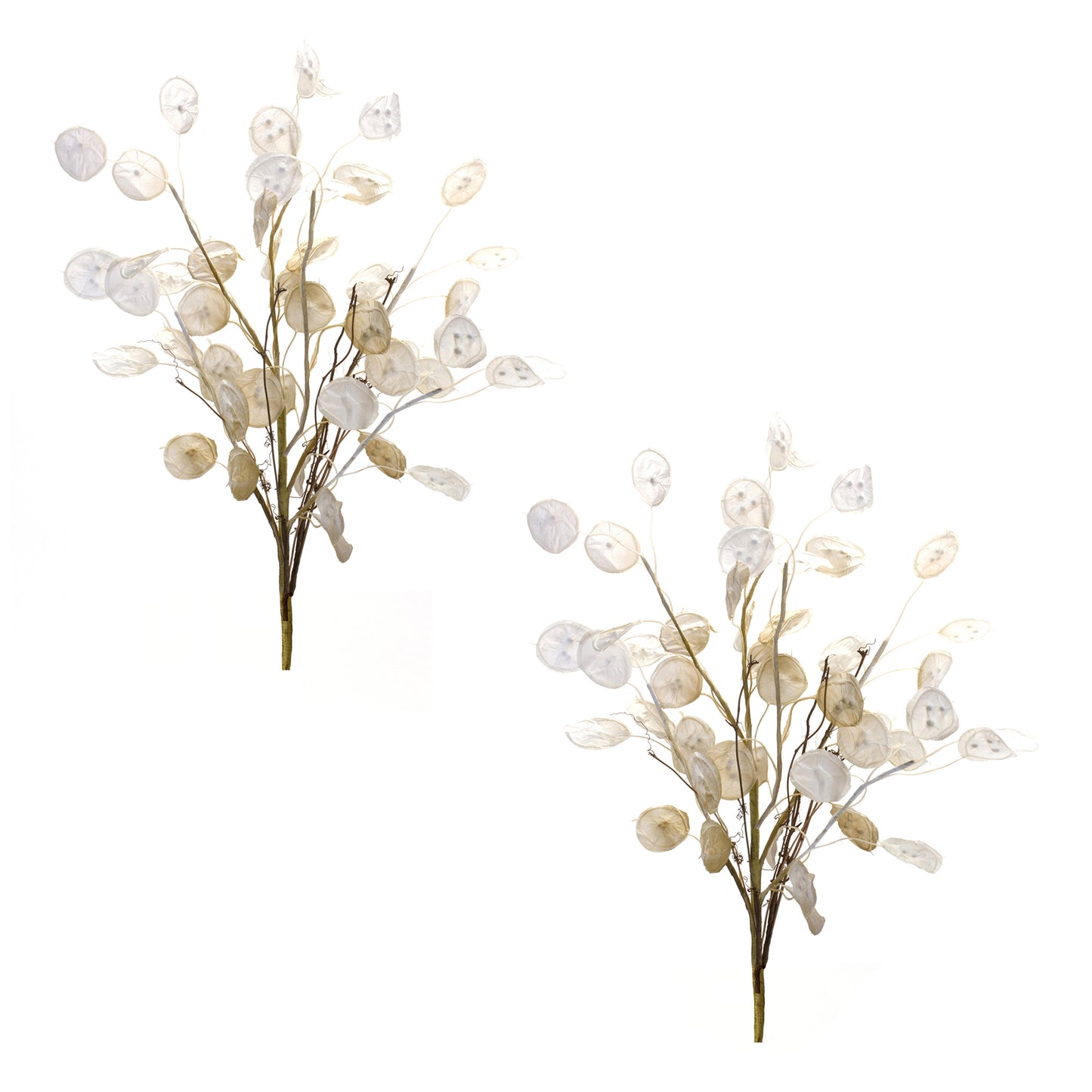 Ivory Silver Dollar Eucalyptus Spray (Set of 6)