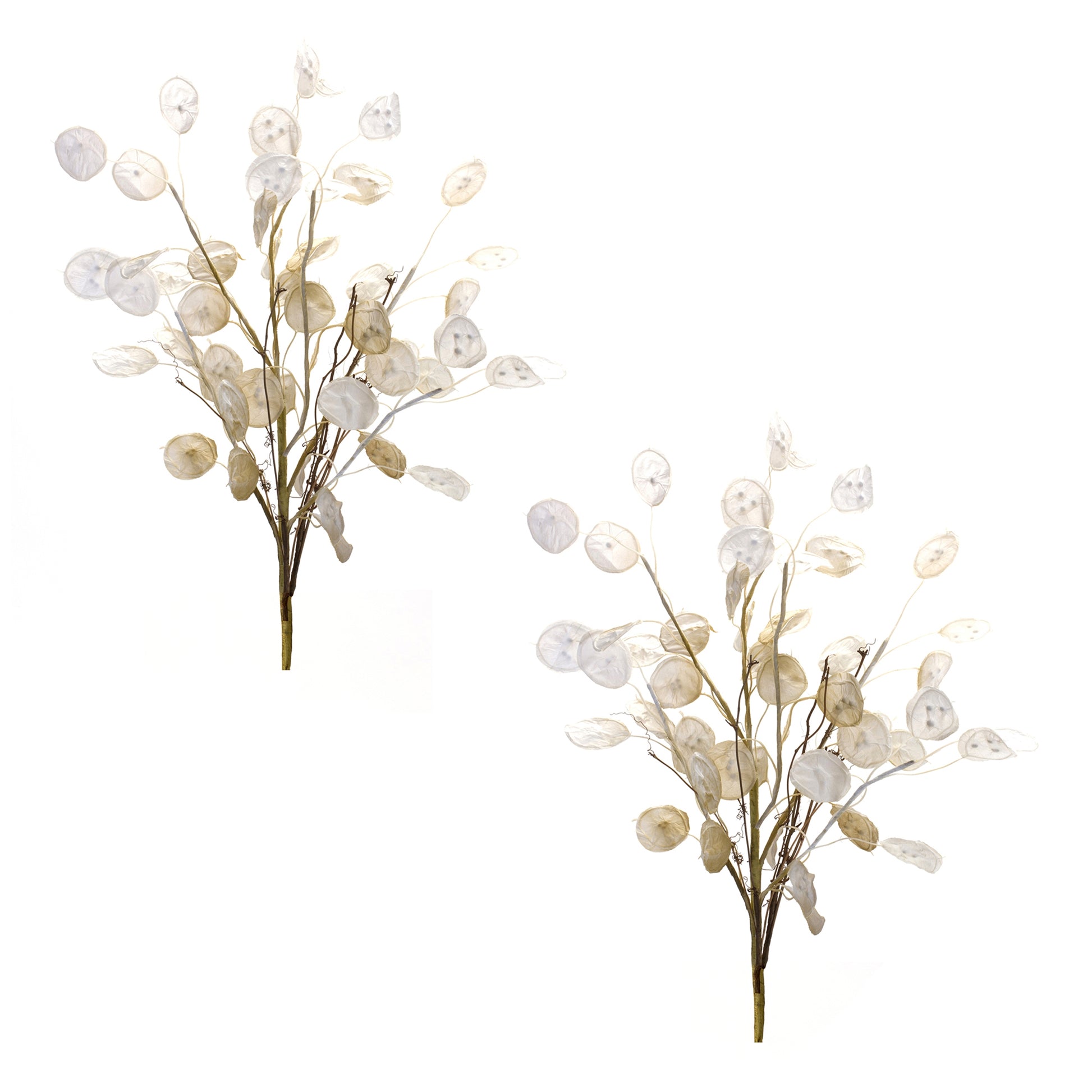 Ivory Silver Dollar Eucalyptus Spray (Set of 6)