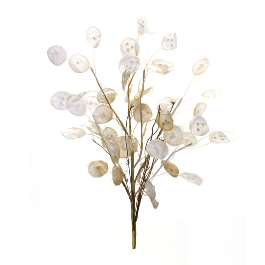 Ivory Silver Dollar Eucalyptus Spray (Set of 6)