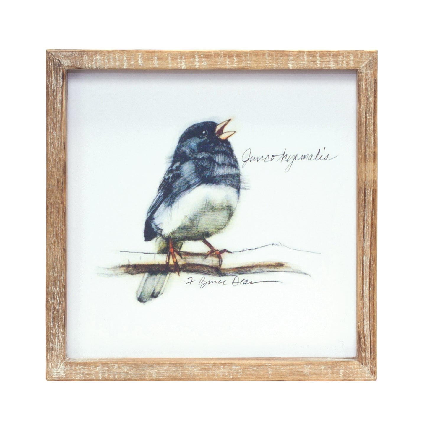 Wood Framed Bird Art Print (Set of 4)