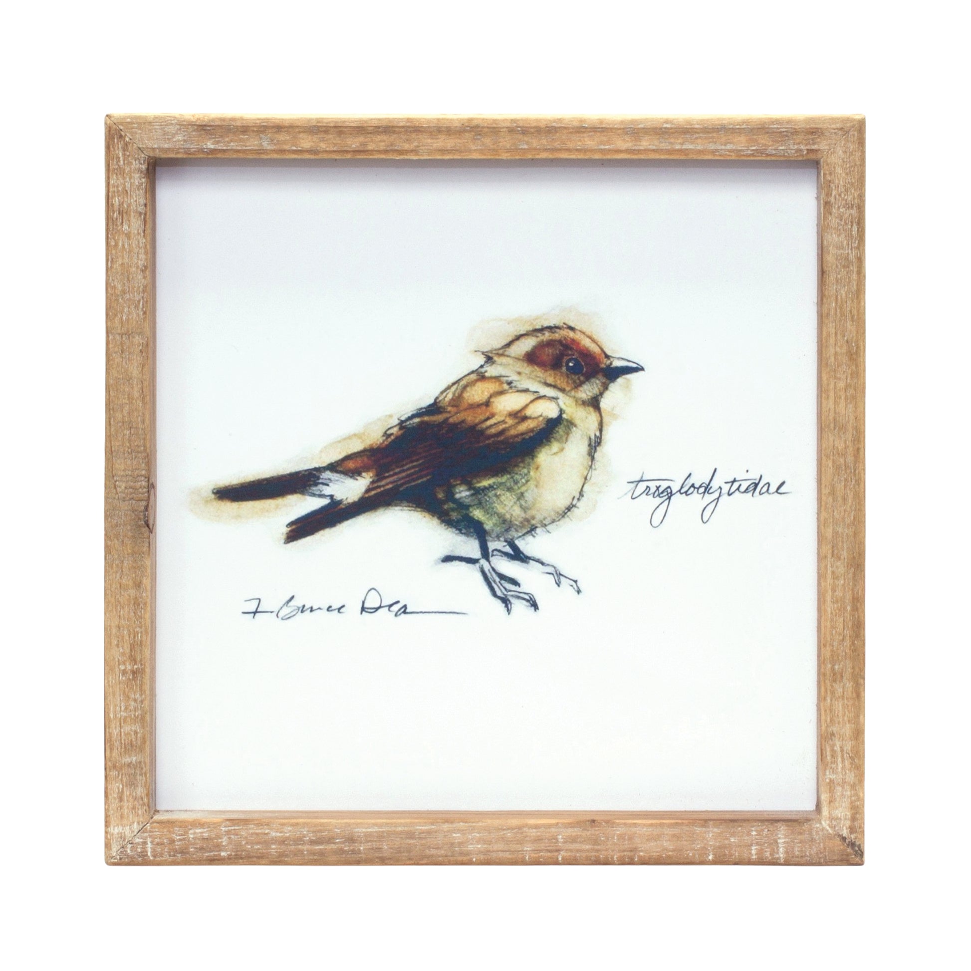 Wood Framed Bird Art Print (Set of 4)