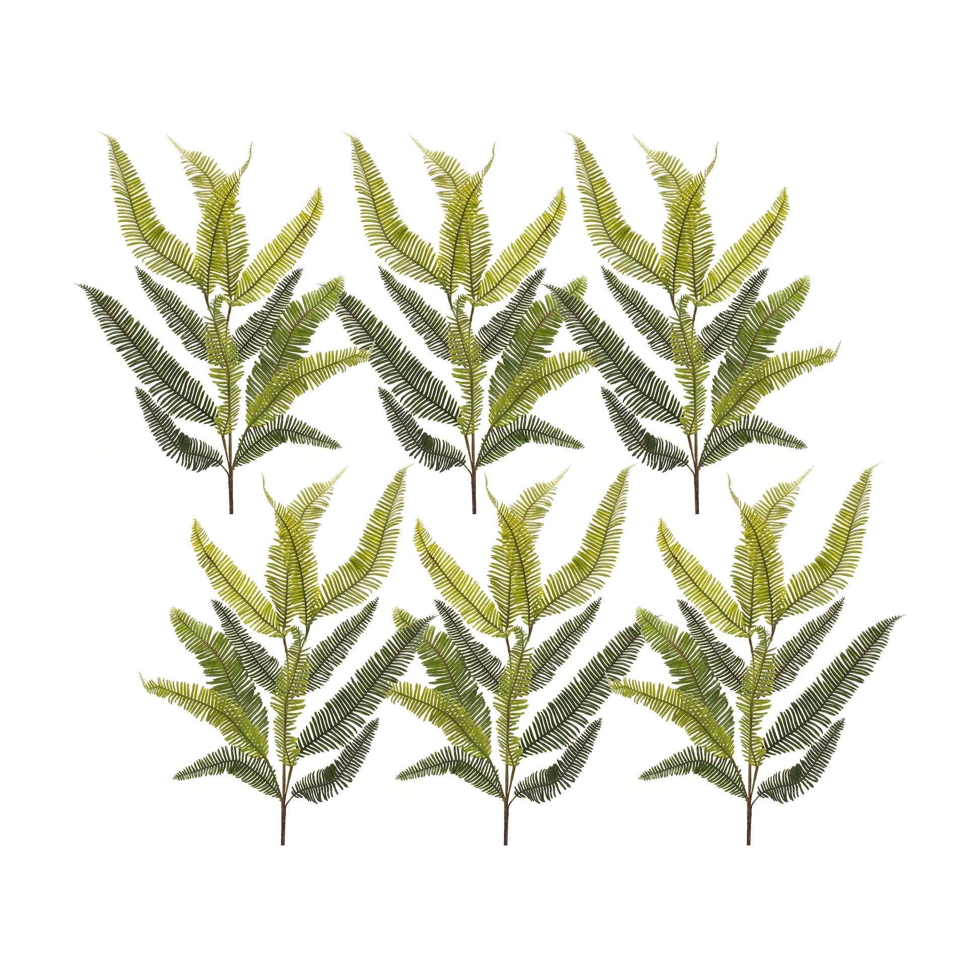 Varigated Fern Foliage Spray (Set of 6)