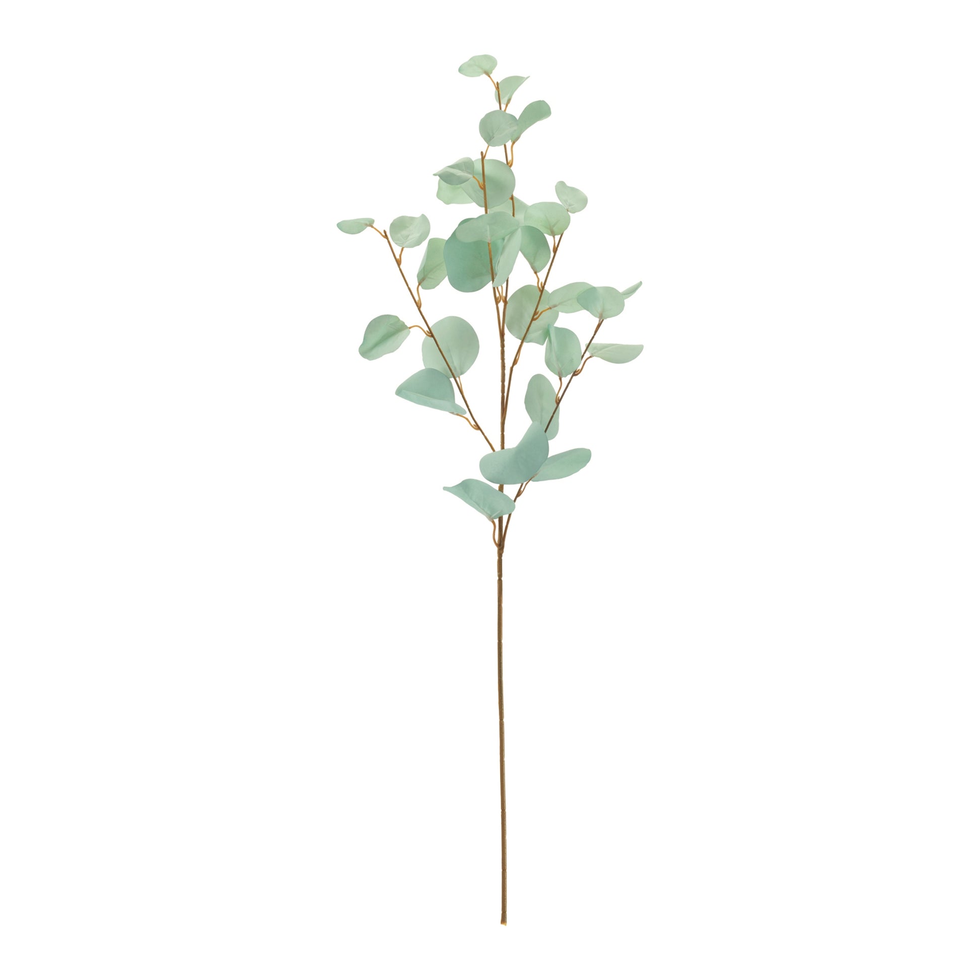 Blue Silver Dollar Eucalyptus Leaf Spray (Set of 6)