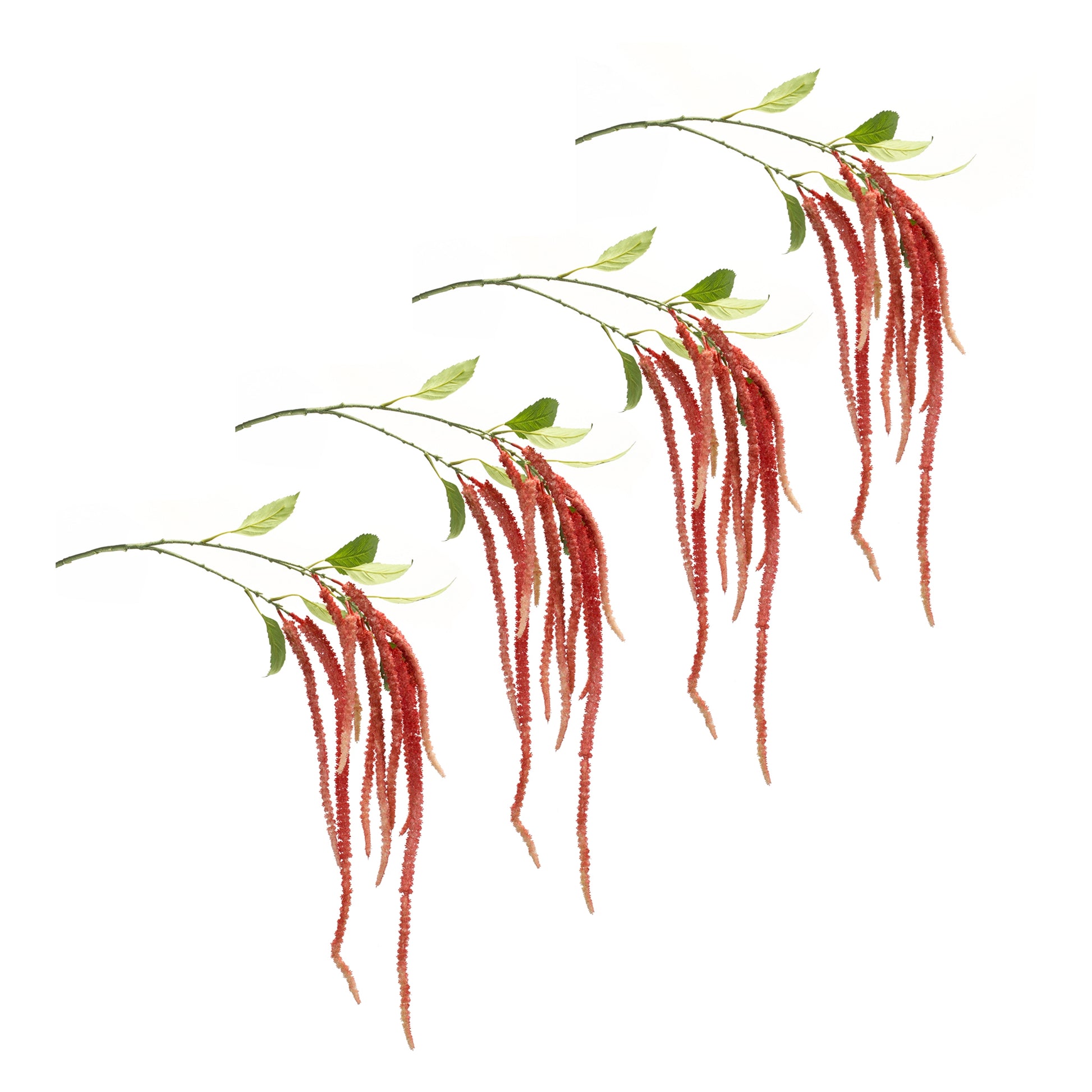 Amaranthus Floral Stem (Set of 4)