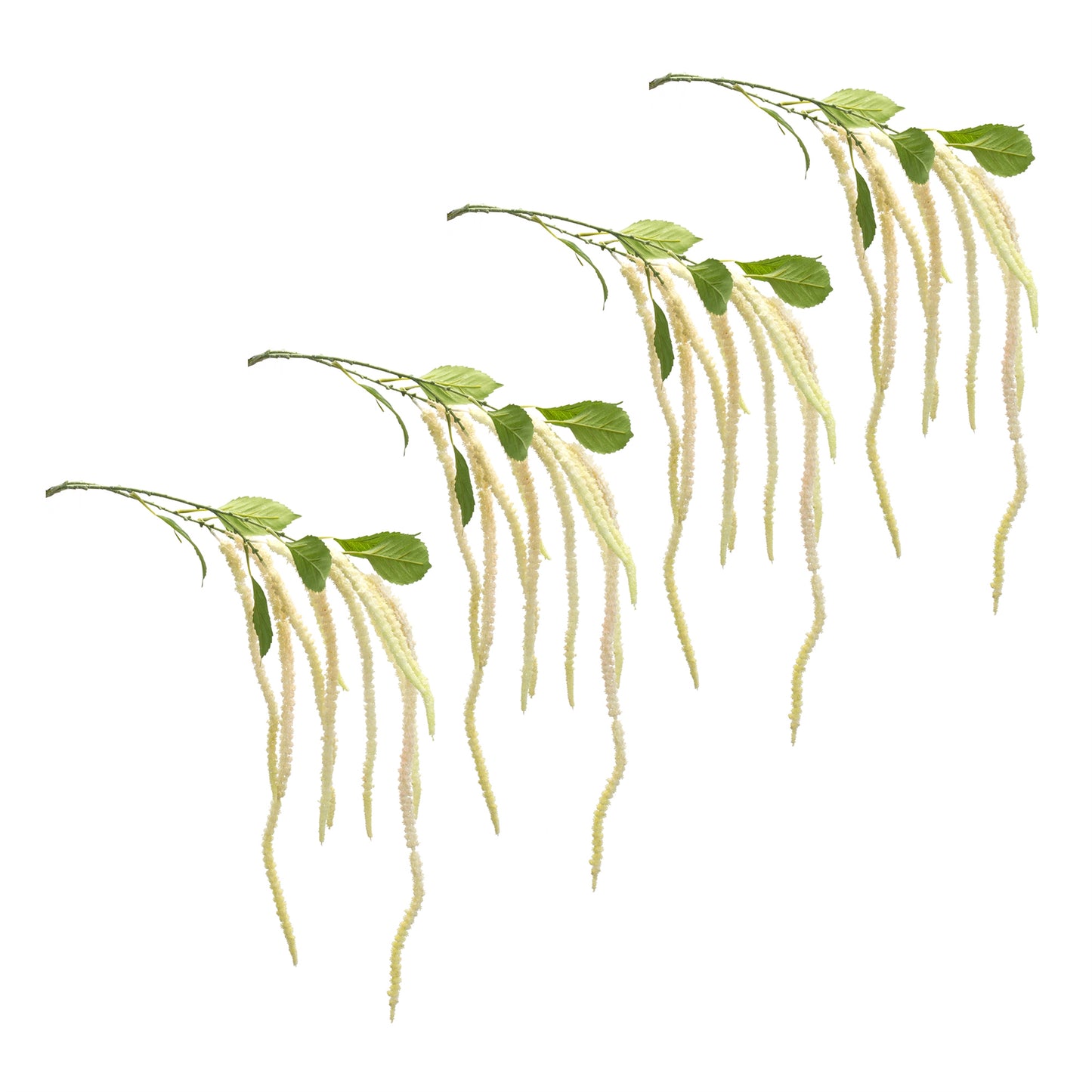 Amaranthus Floral Stem (Set of 4)
