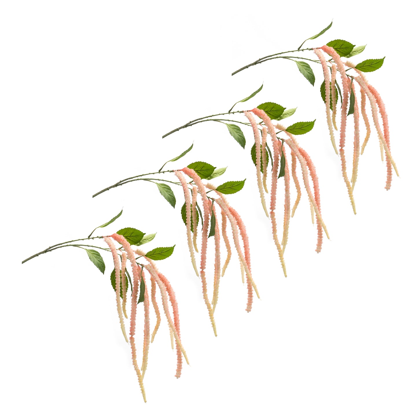 Amaranthus Floral Stem (Set of 4)