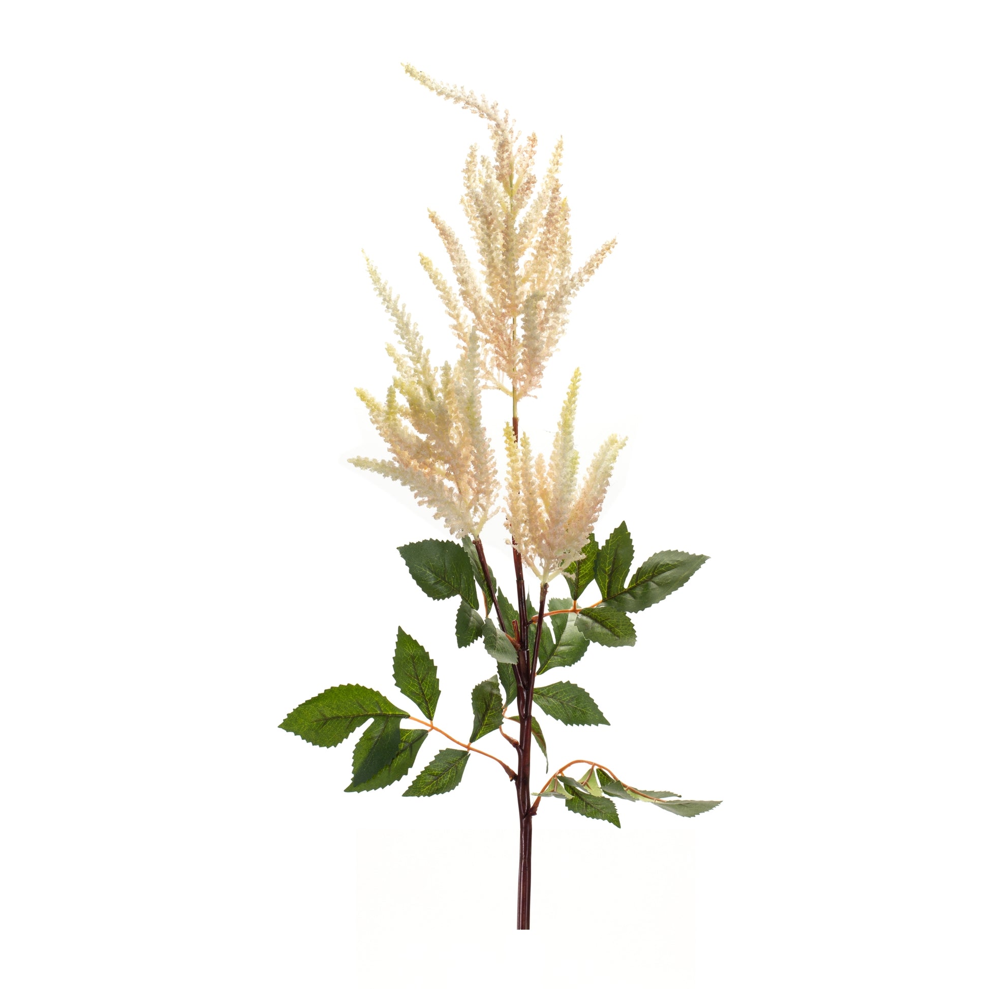 Astilbe Spray (Set of 4)