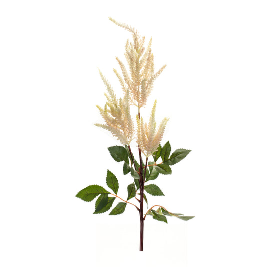 Astilbe Spray (Set of 4)