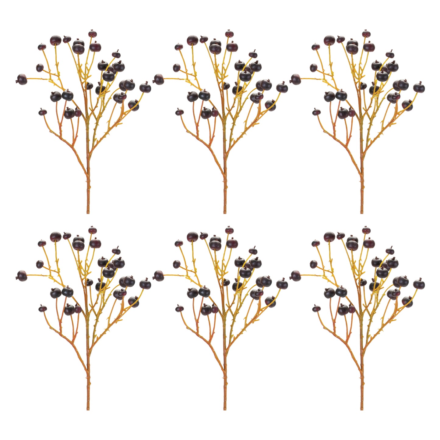 Blue Berry Spray (Set of 6)