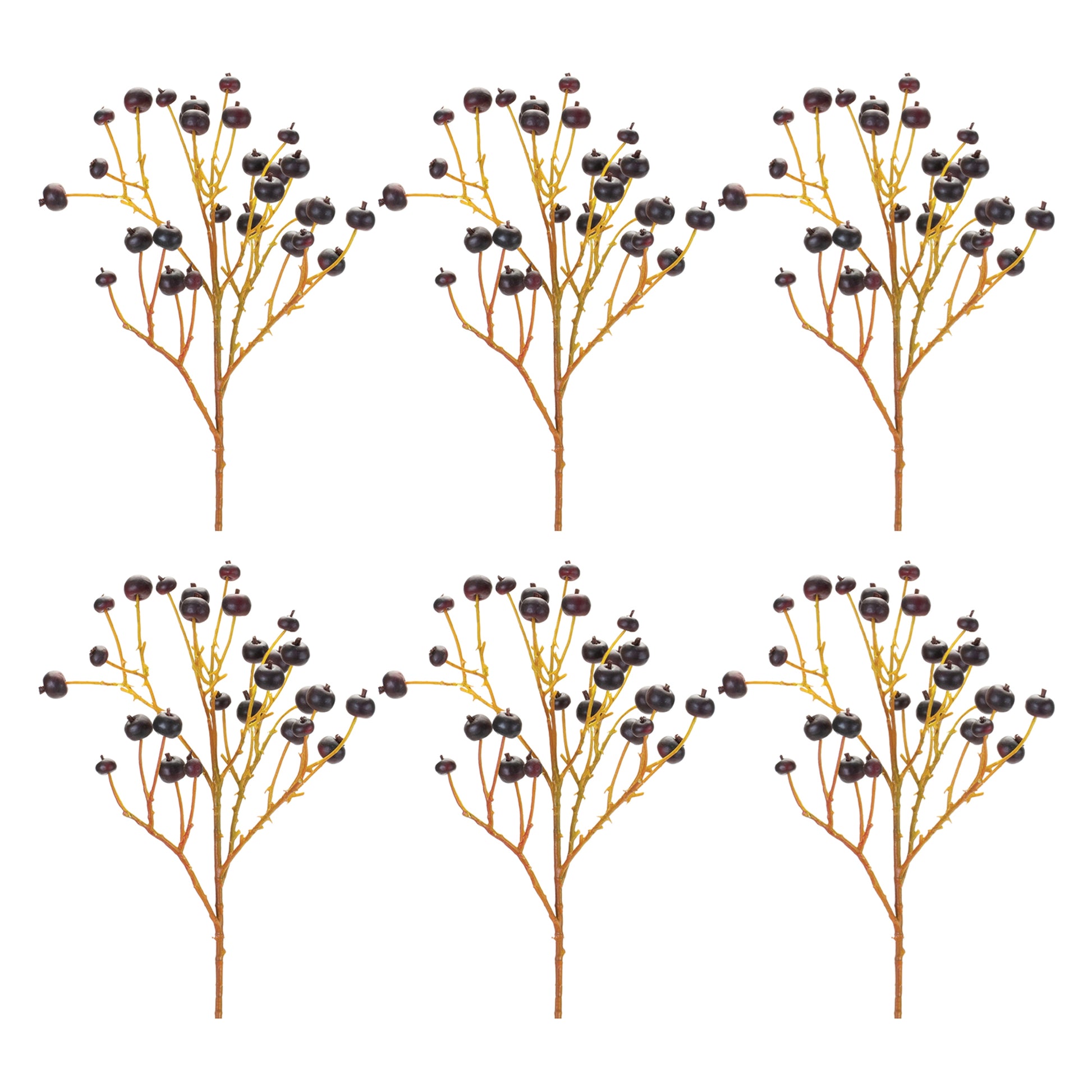 Blue Berry Spray (Set of 6)