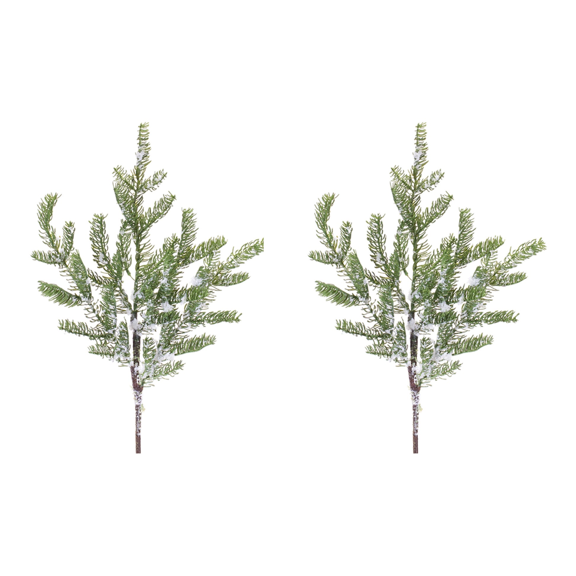 Pine Spray (Set of 2)