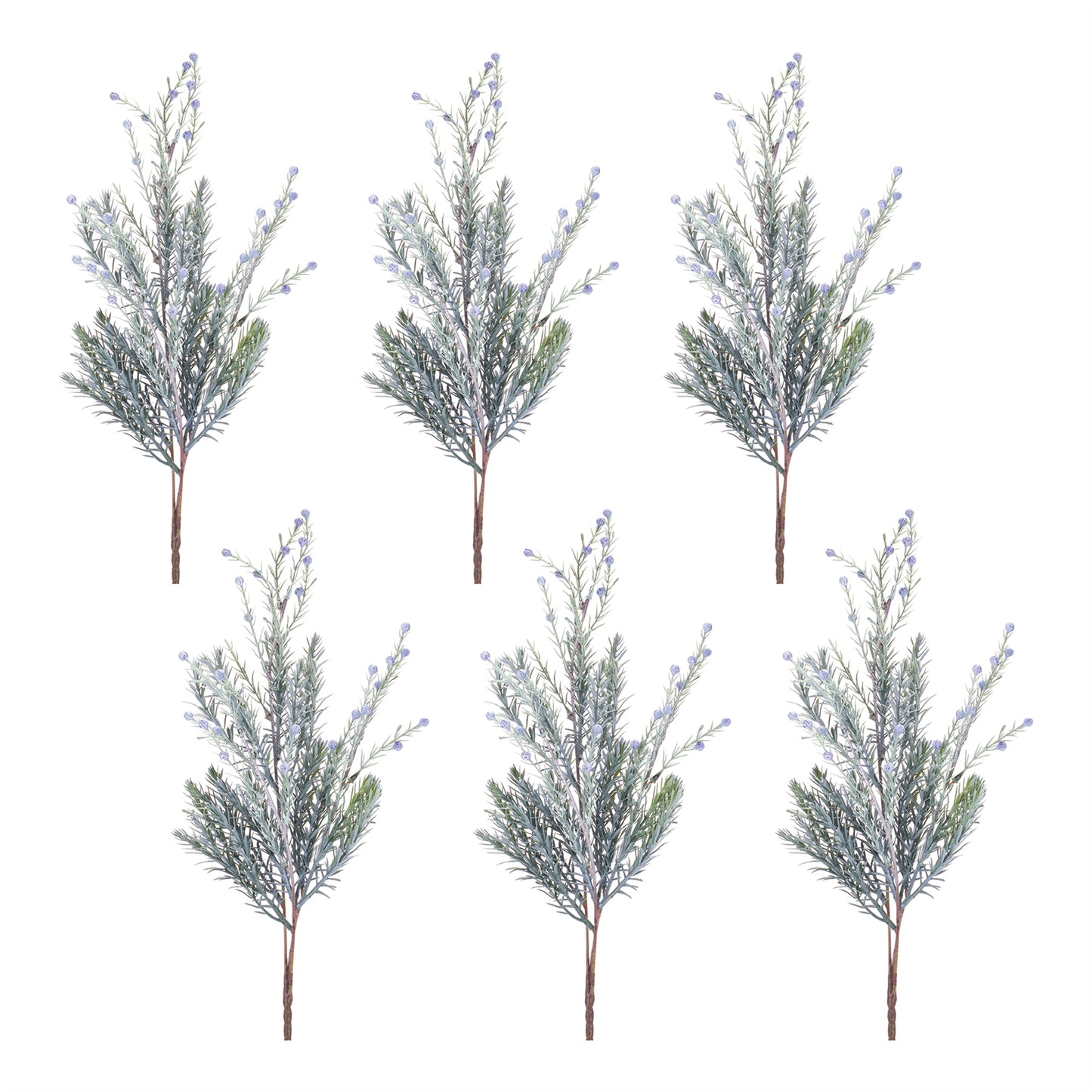 Pine Spray (Set of 6)