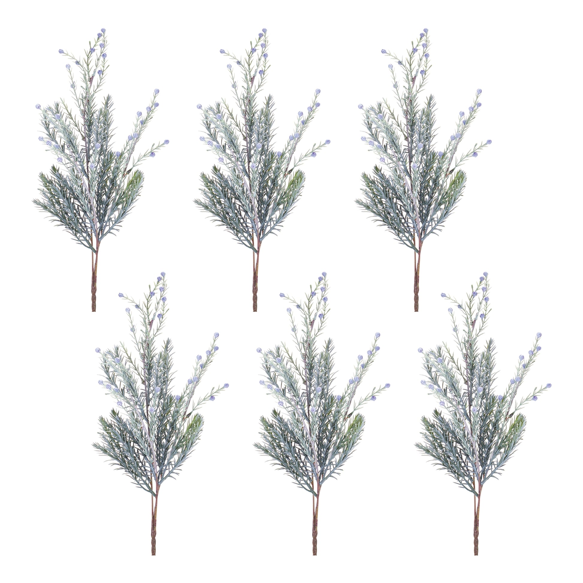 Pine Spray (Set of 6)