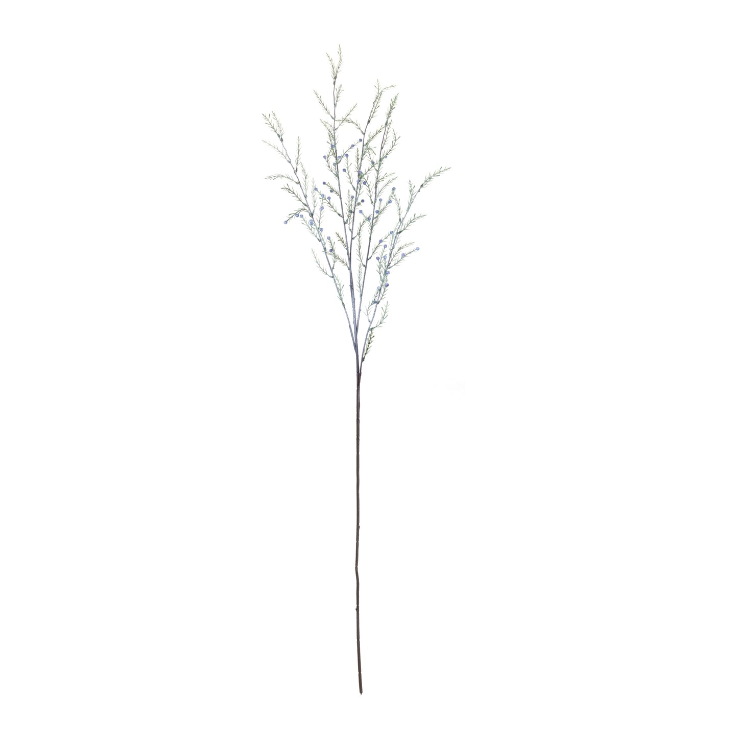 Pine Branch (Set of 12)