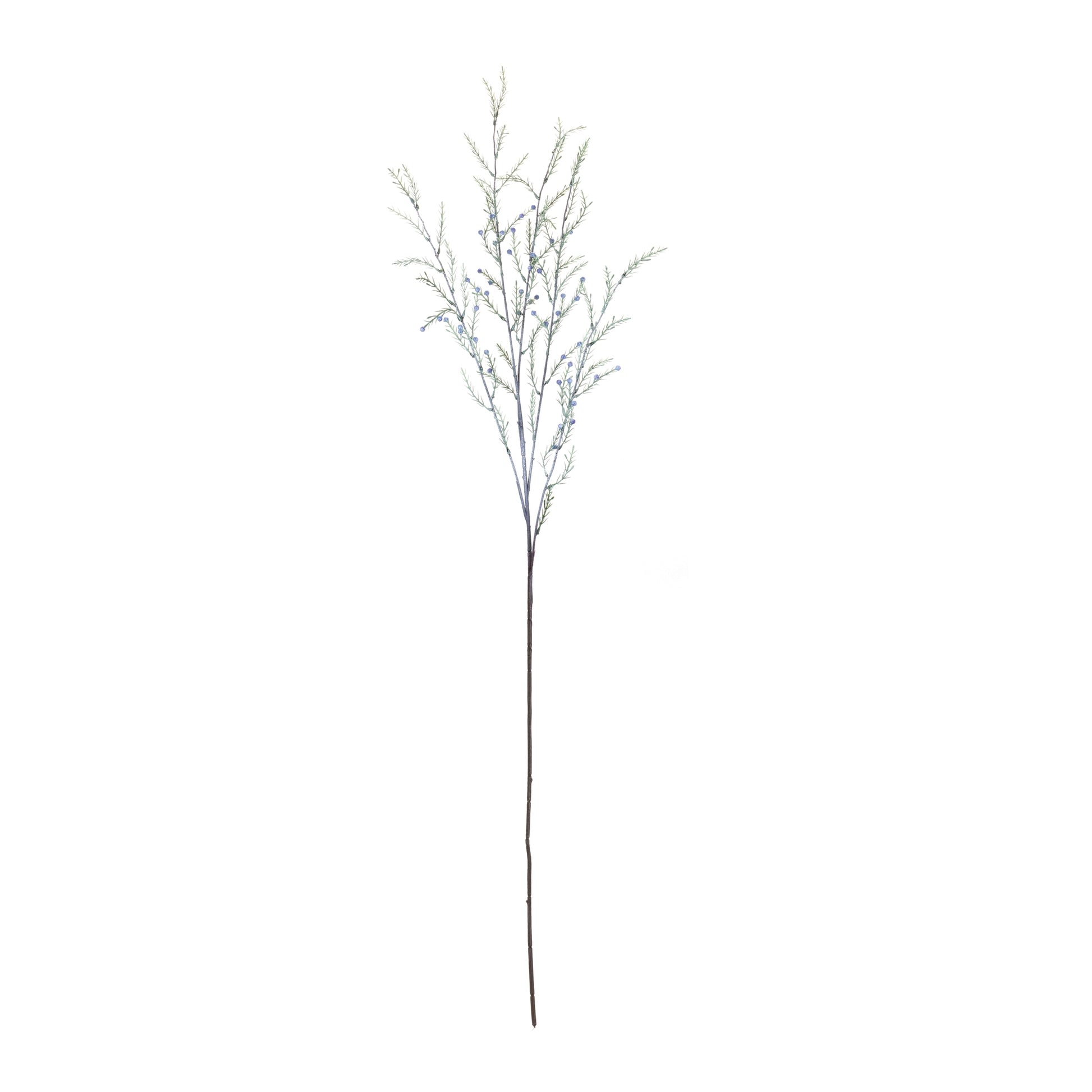 Pine Branch (Set of 12)