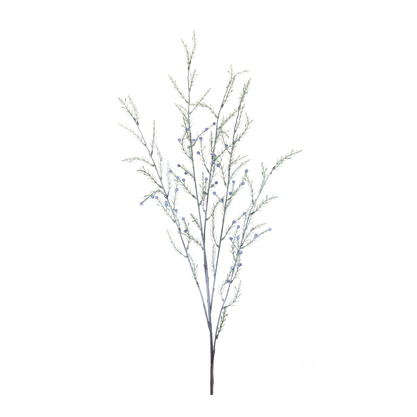 Pine Branch (Set of 12)