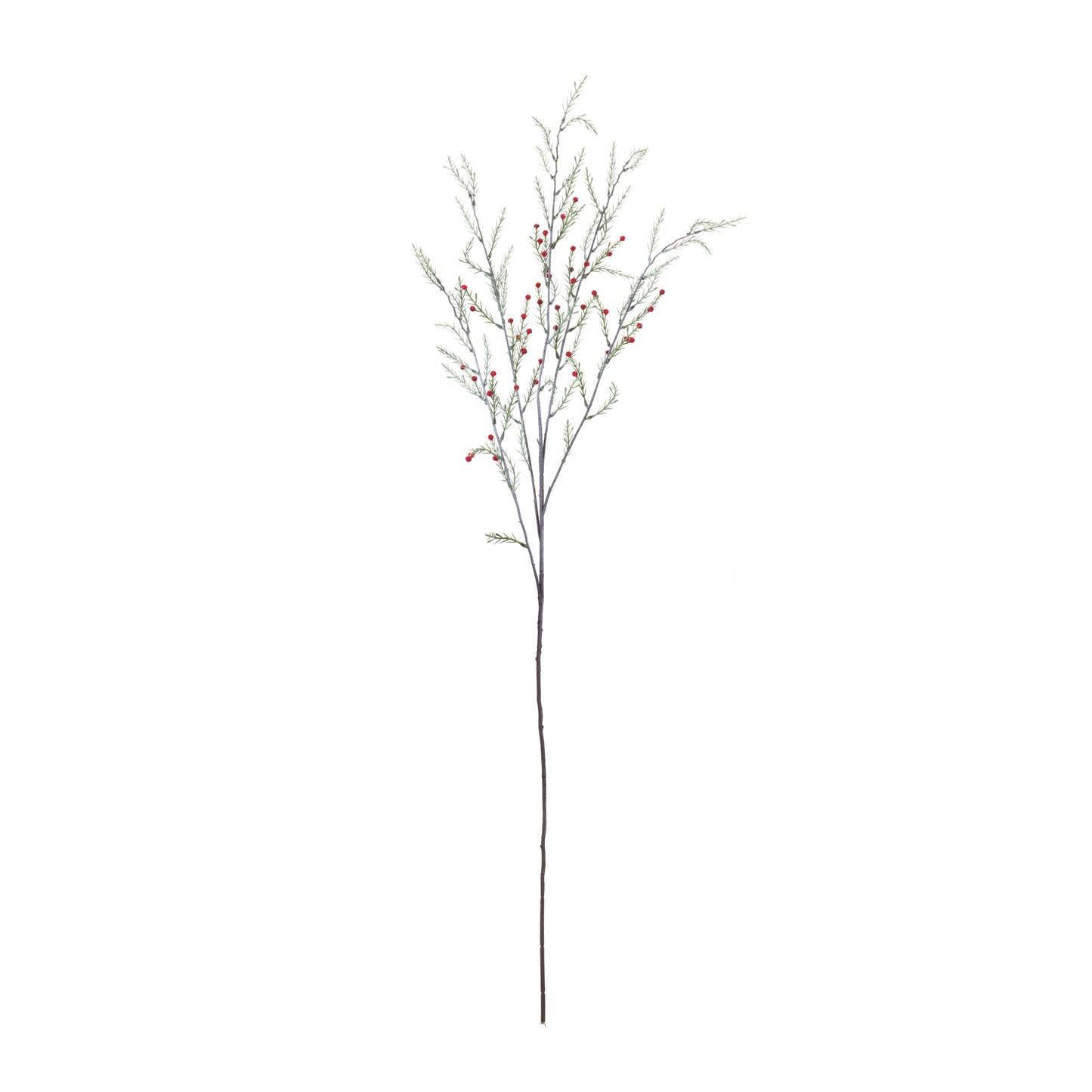 Pine Branch (Set of 12)
